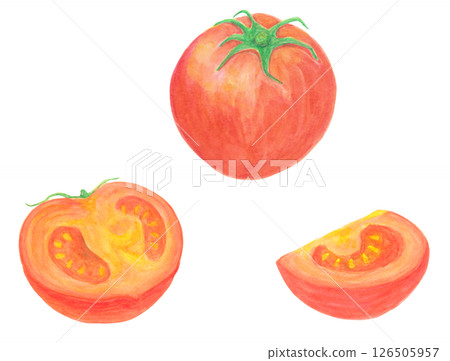 Watercolor analog illustration material of whole tomatoes and cut tomatoes 126505957