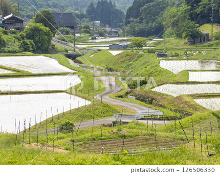 水稻種植後的梯田風光 水稻種植後的梯田風光 126506330