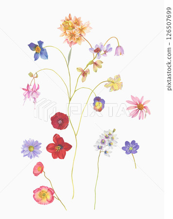 Unique Hand Illustrated Curly Floral and Scroll Motif Works 126507699