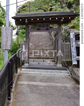 成壽院西界的台灣松鼠（神奈川縣鎌倉市極樂寺一丁目） 126508253