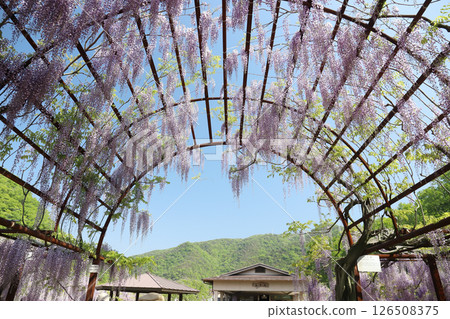 和氣神社富士公園（岡山縣和氣町） 126508375