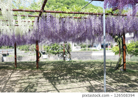 和氣神社富士公園（岡山縣和氣町） 126508394