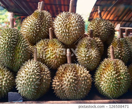 Lot of durian for sale 126508471