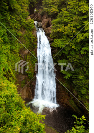 夏威夷假期阿卡卡瀑布州立公園,大島 夏威夷假期阿卡卡瀑布州立公園,大島 126508540