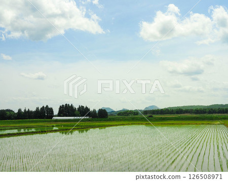 Countryside scenery with rice field 126508971