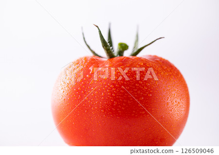 新鮮採摘的西紅柿 新鮮採摘的西紅柿 126509046