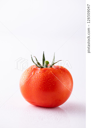 新鮮採摘的西紅柿 新鮮採摘的西紅柿 126509047