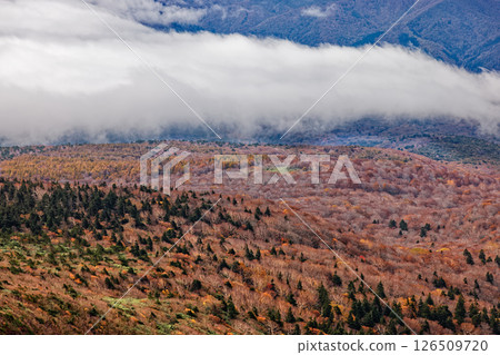 Autumn leaves and sea of clouds from Mt. Adatara and Mt. Funamyojin Autumn leaves and sea of clouds from Mt. Adatara and Mt. Funamyojin 126509720
