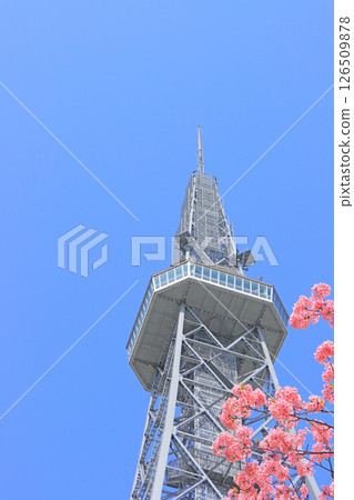 Scenery of Kawazu cherry blossoms and Nagoya TV Tower, Nagoya City, Aichi Prefecture Scenery of Kawazu cherry blossoms and Nagoya TV Tower, Nagoya City, Aichi Prefecture 126509878