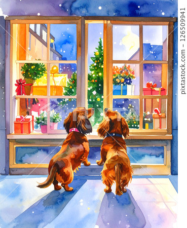 Dachshund  126509941