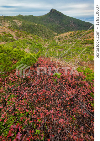 Autumn foliage along the Funamyojinyama ridgeline and the rocky peaks of Mt. Adatara Autumn foliage along the Funamyojinyama ridgeline and the rocky peaks of Mt. Adatara 126510037