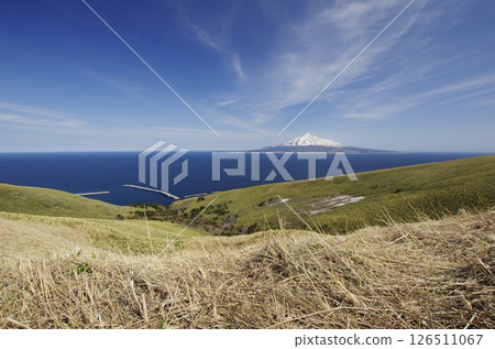 來自禮文島的利尻富士 126511067