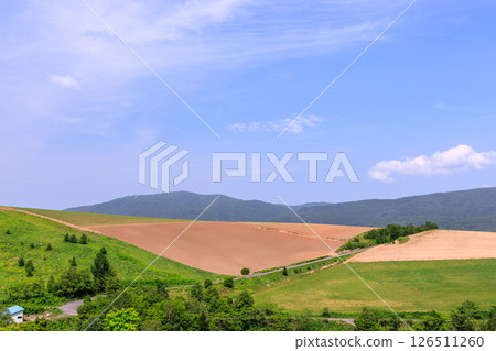 Fields spreading across the hills of Shinjo Town, Ashibetsu City, Hokkaido [June] 126511260