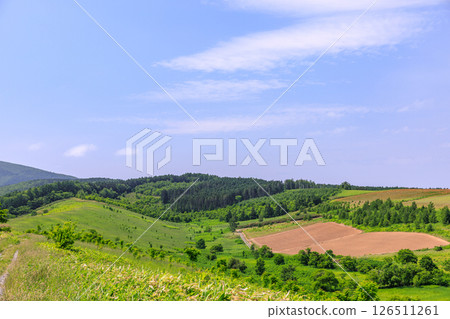 Fields spreading across the hills of Shinjo Town, Ashibetsu City, Hokkaido [June] 126511261