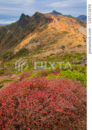 View of autumn leaves on Mt. Tetsuzan and the summit of Mt. Umanose and Mt. Adatara 126511656