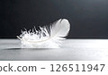 A delicate white feather rests gently on a textured grey surface against a dark background, emphasizing its lightness and fragility. 126511947