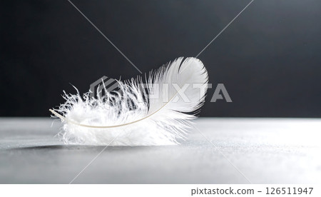A delicate white feather rests gently on a textured grey surface against a dark background, emphasizing its lightness and fragility. A delicate white feather rests gently on a textured grey surface against a dark background, emphasizing its lightness and fragility. 126511947
