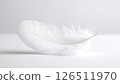 A single white feather on a white background, looking soft and light. 126511970
