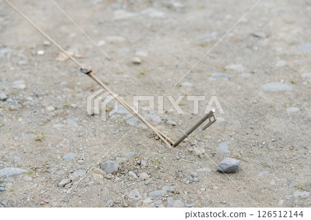 [Solo camping at an auto campsite: pegs and guy ropes] 126512144