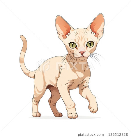 A cute Devon Rex staring intently A cute Devon Rex staring intently 126512828