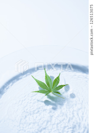 Blue maple floating on the water Blue maple floating on the water 126513075