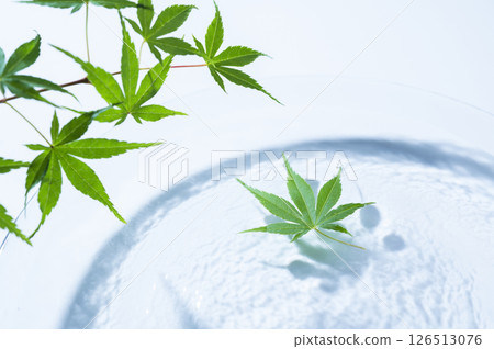 漂浮在水面上的藍楓 126513076