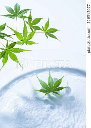 漂浮在水面上的藍楓 126513077