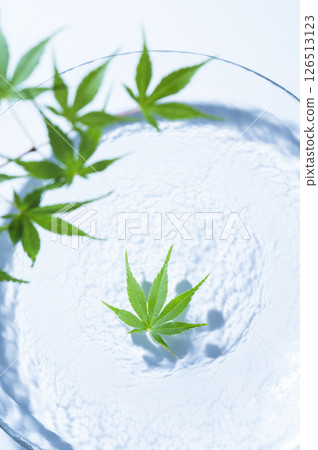 漂浮在水面上的藍楓 126513123