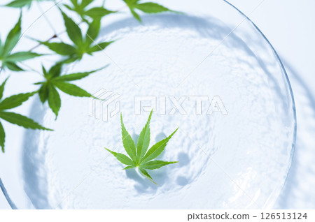 Blue maple floating on the water 126513124