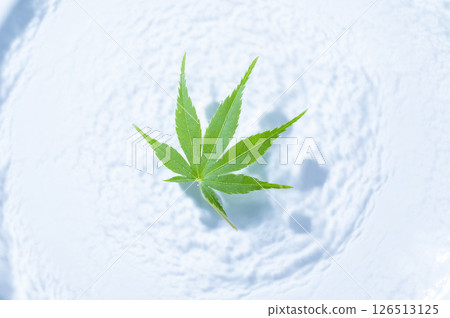 漂浮在水面上的藍楓 126513125