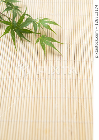 綠色的楓葉和百葉窗 126513174