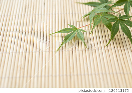 綠色的楓葉和百葉窗 126513175