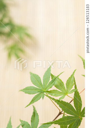 Green maple leaves and blinds Green maple leaves and blinds 126513183