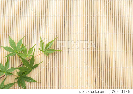 Green maple leaves and blinds 126513186