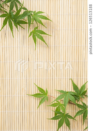 Green maple leaves and blinds Green maple leaves and blinds 126513188