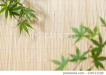 Green maple leaves and blinds Green maple leaves and blinds 126513190