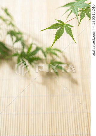 綠色的楓葉和百葉窗 126513240