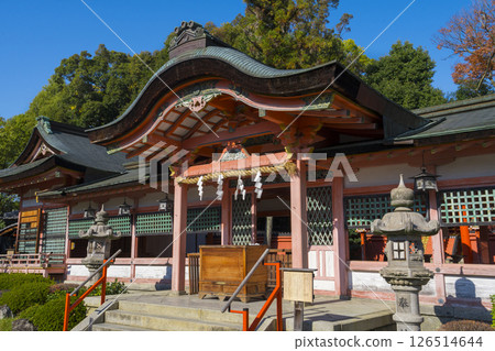 京都西院春日神社正殿 京都西院春日神社正殿 126514644