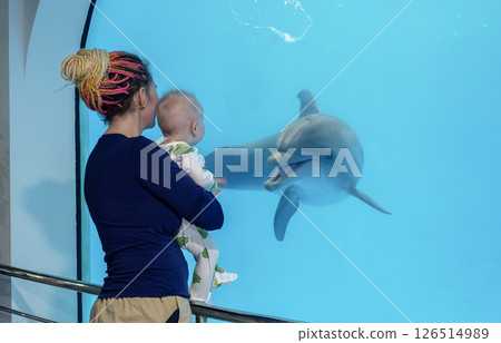 Mother and baby interact with a dolphin through a large aquarium window at a marine exhibit on a sunny day 126514989