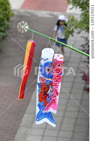 A new carp streamer on the balcony and elementary school students on their way to school 126515031