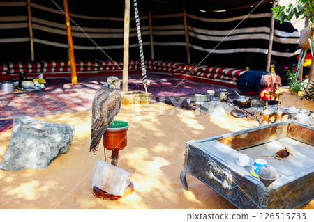 Arabian falcon bird sits on perch in courtyard of residential building, Dubai, UAE. High quality photo Arabian falcon bird sits on perch in courtyard of residential building, Dubai, UAE. High quality photo 126515733