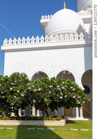 View of Sheikh Zayed Grand Mosque in Abu Dhabi with blooming green trees. Vertical photo. High quality photo 126515770