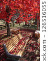 Red bench with autumn leaves 126516055