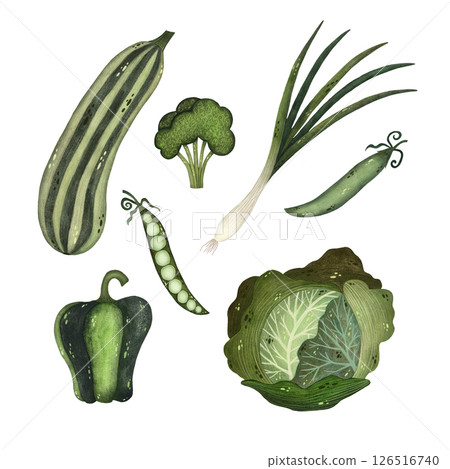 A watercolor illustration of a set of green vegetables on a white background, including a striped zucchini, green peas, green onion, broccoli, green bell pepper, and cabbage. The vibrant colors and A watercolor illustration of a set of green vegetables on a white background, including a striped zucchini, green peas, green onion, broccoli, green bell pepper, and cabbage. The vibrant colors and 126516740