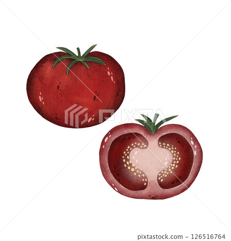 Watercolor red tomato illustration isolated on white background, Hand-drawn fresh whole and a half tomato harvest watercolor illustration, Vegetarian organic food art, Painted raw and vegan cooking Watercolor red tomato illustration isolated on white background, Hand-drawn fresh whole and a half tomato harvest watercolor illustration, Vegetarian organic food art, Painted raw and vegan cooking 126516764