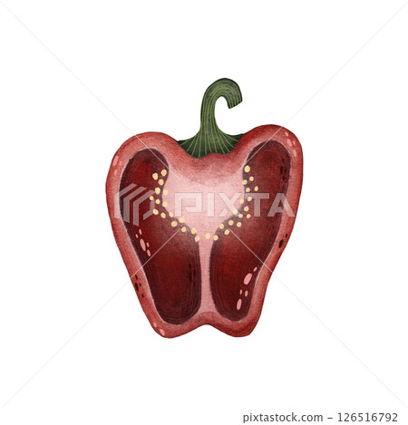 Watercolor red bell pepper with stem and seeds illustration isolated on white background, Hand-drawn fresh paprika harvest watercolor illustration, Half of a bell pepper, Vegetarian organic food art 126516792