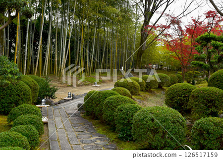 Fall of the Kyoto Shiokado garden 126517159