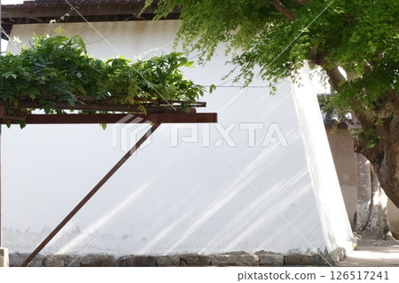 奈良新藥師寺白牆上倒映的樹葉 126517241