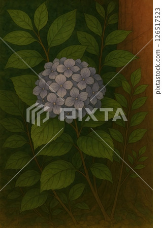 繡球花的復古插圖 126517523