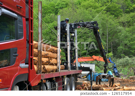 Forestry Scene of loading timber onto a truck 126517954